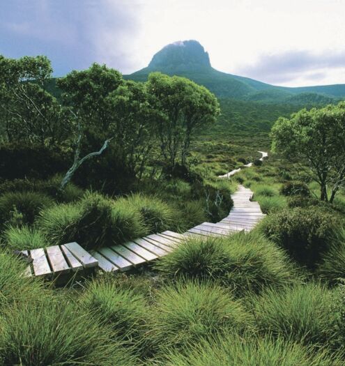 Cradle Mountain Huts Walk 7