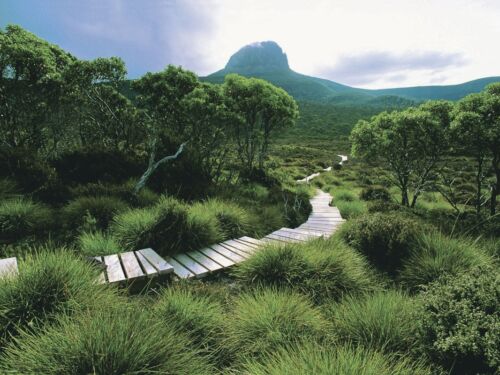 Cradle Mountain Huts Walk 7