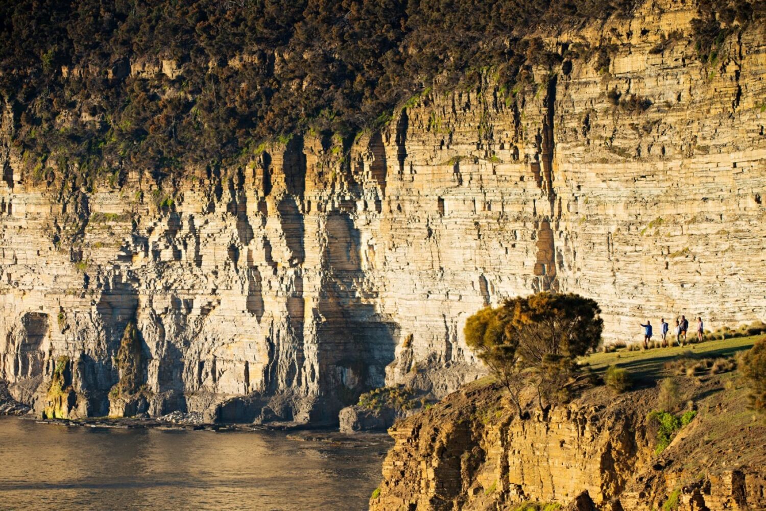 Maria Island Walk-Fossil-Bay