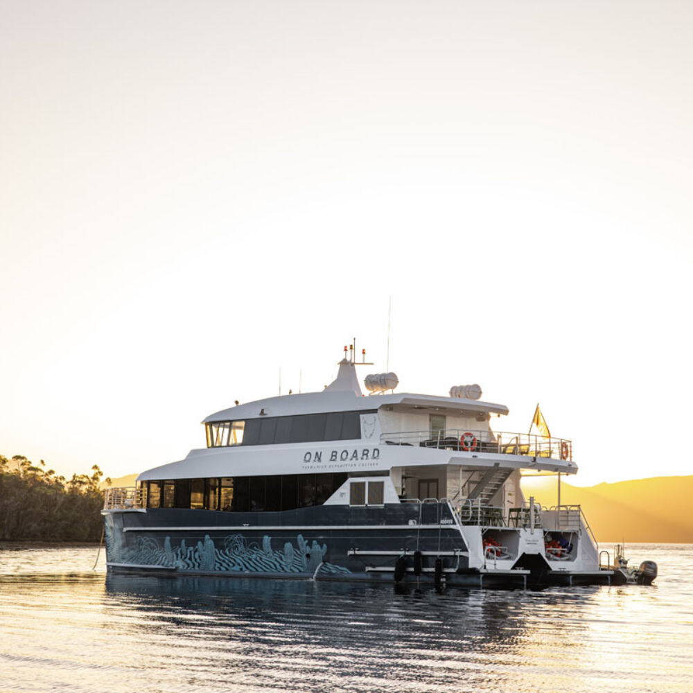 On Board Odalisque III Southwest National Park