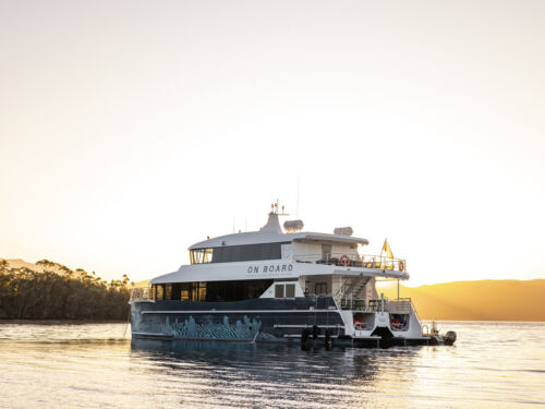 On Board Odalisque III Southwest National Park