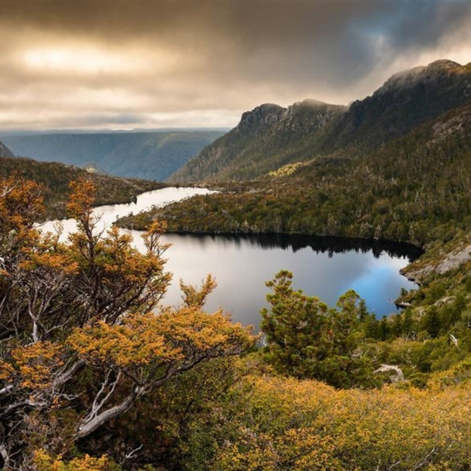 Cradle Mountain Lodge walks2