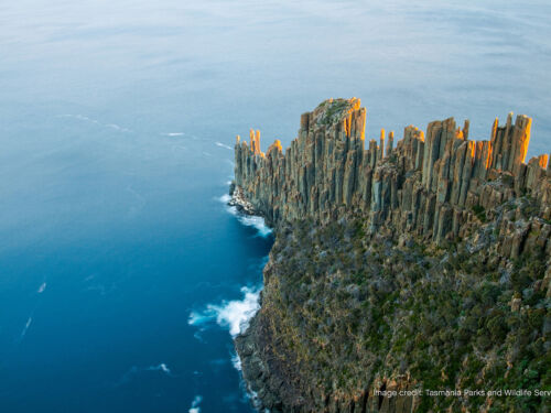 Cape Raoul Tasman National Park