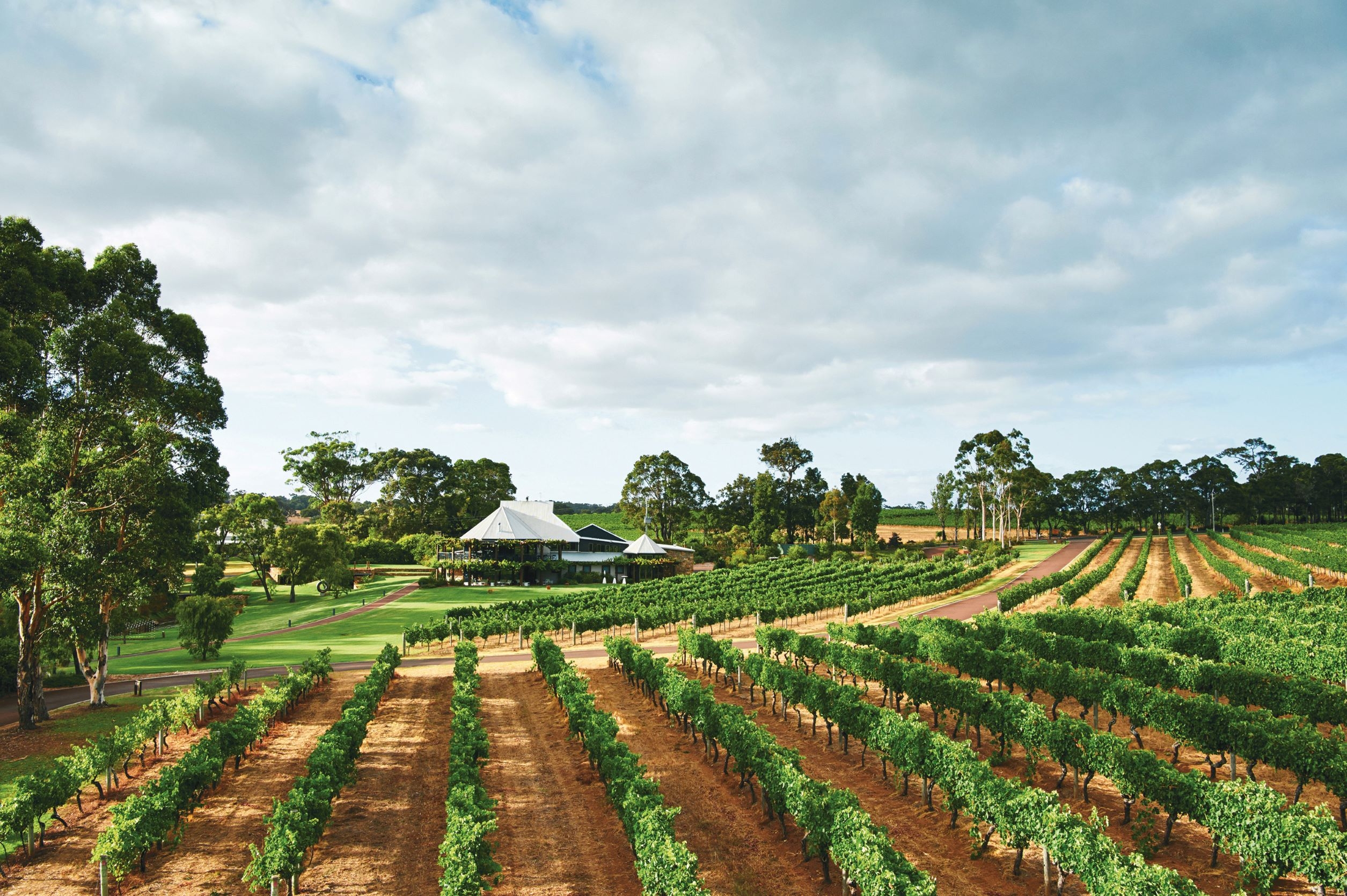 Vasse Felix Winery, Cape to Cape Walk