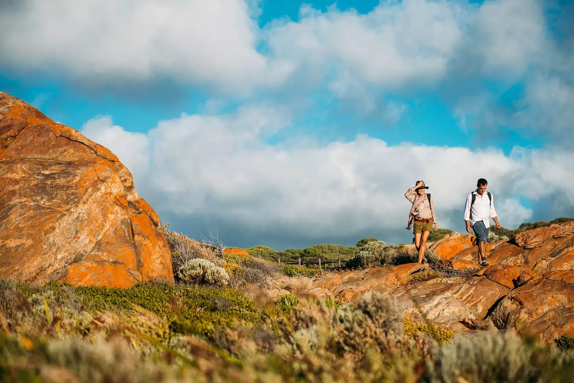 Cape to Cape walking tour