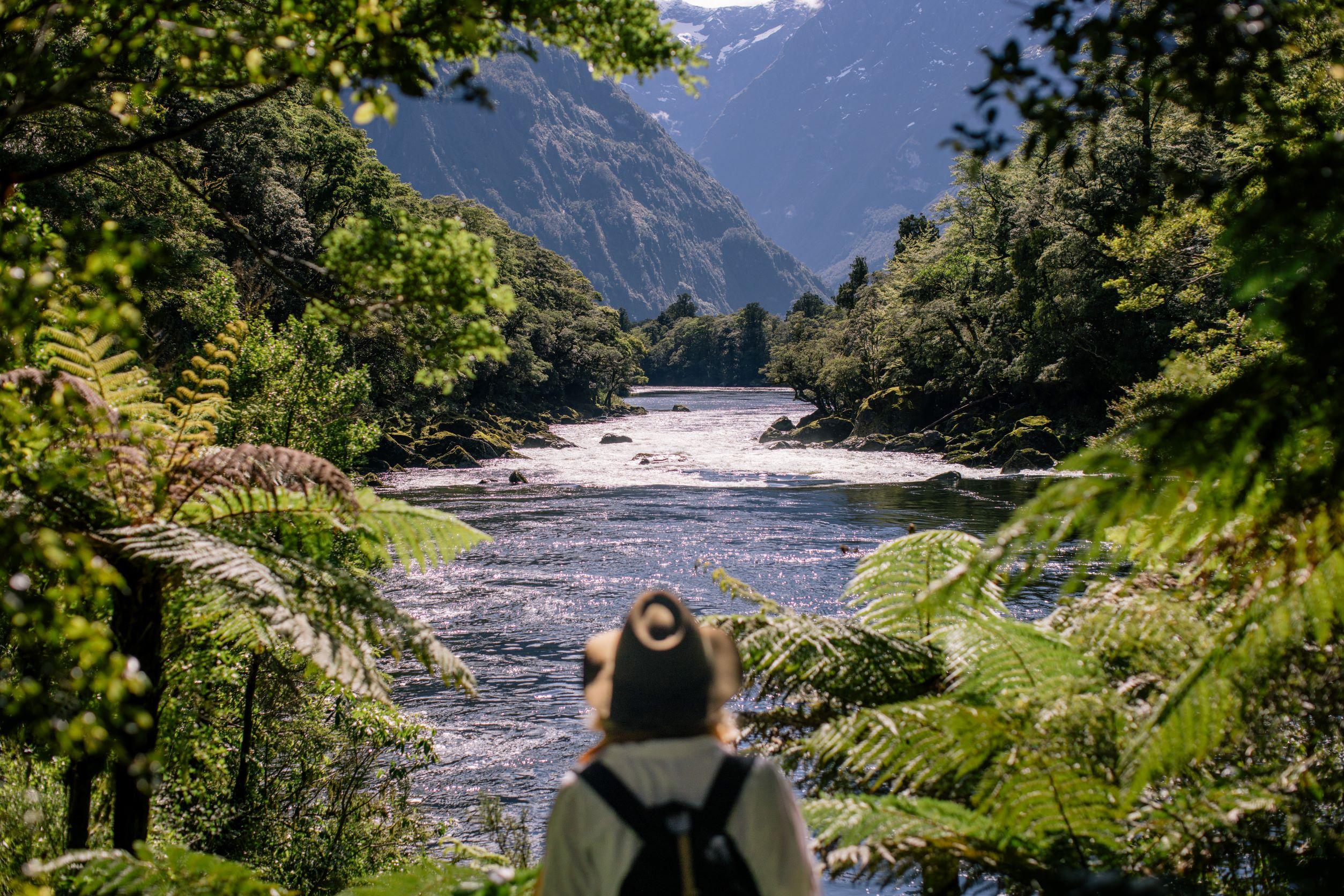 Best Day Hikes in New Zealand - luxury Milford hike