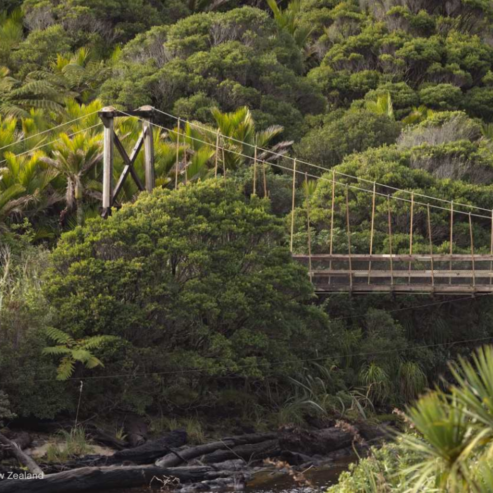 Heaphy track