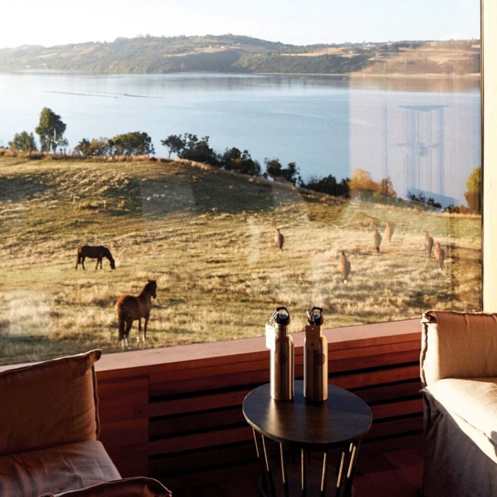 Suite view horse Tierra Chiloe