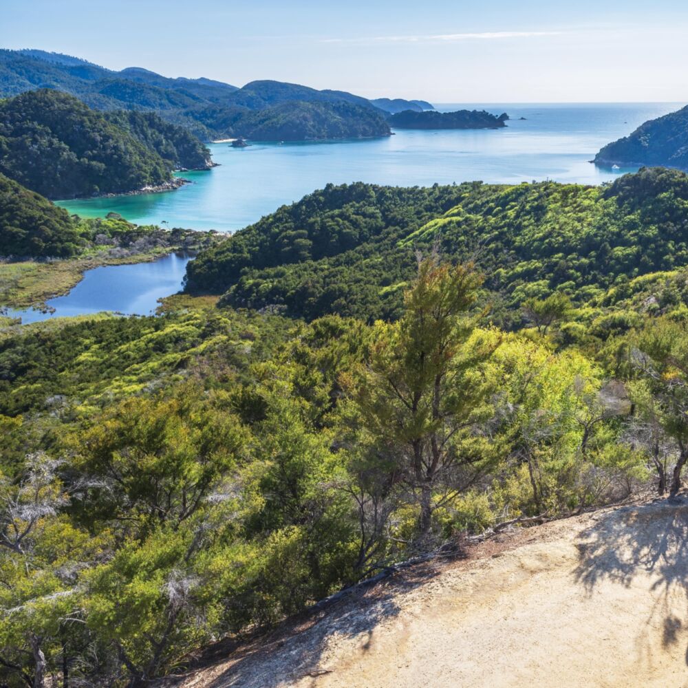 Walking Anchorage Abel Tasman Print Res taken by Oliver Weber credit www nelsontasman nz min