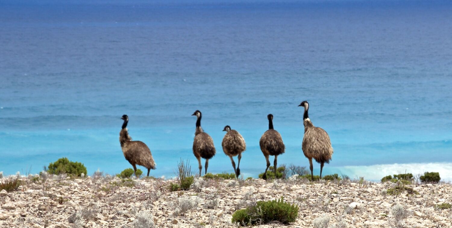 Coffin Bay Day 2