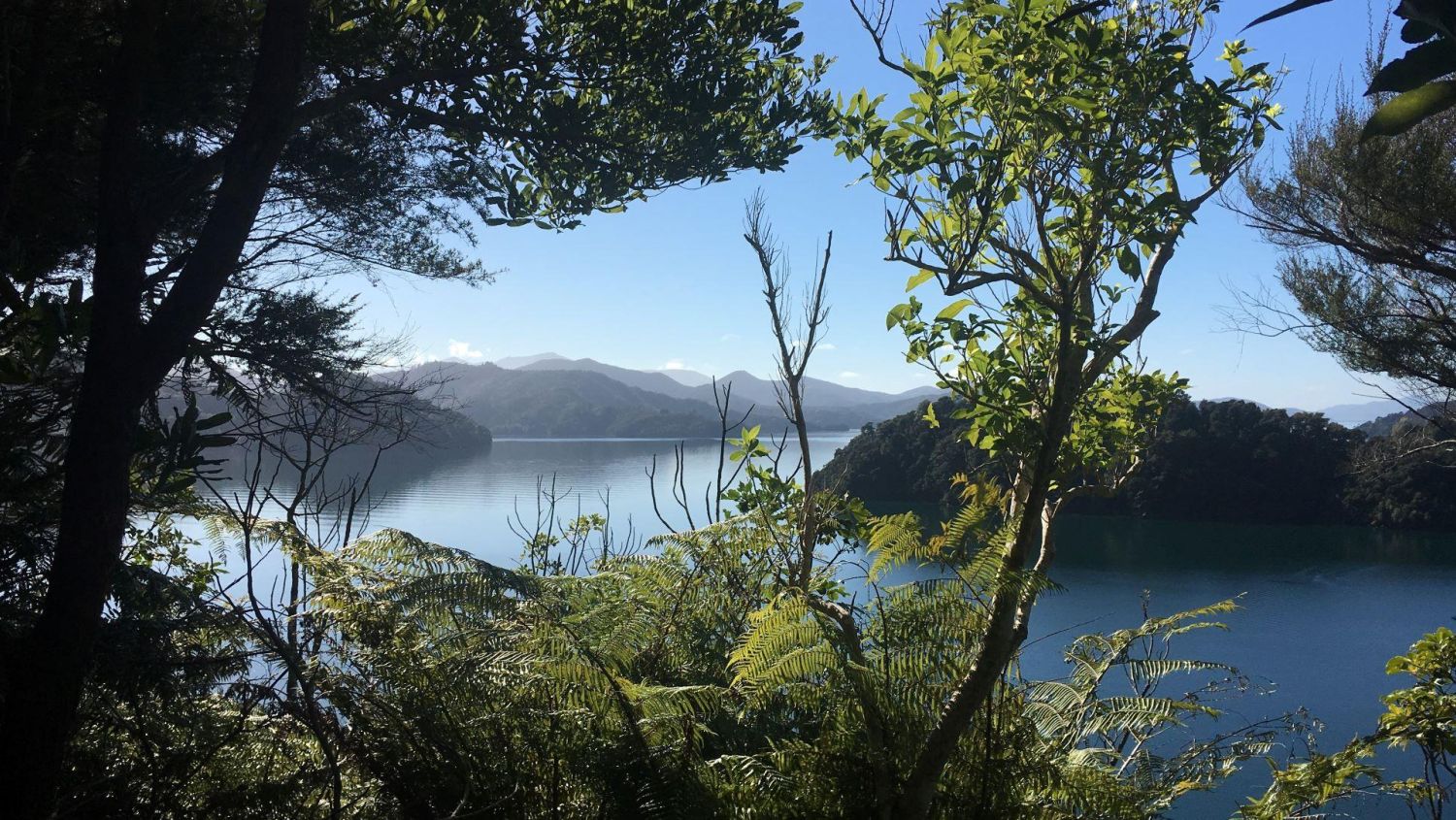 Queen Charlotte Track views