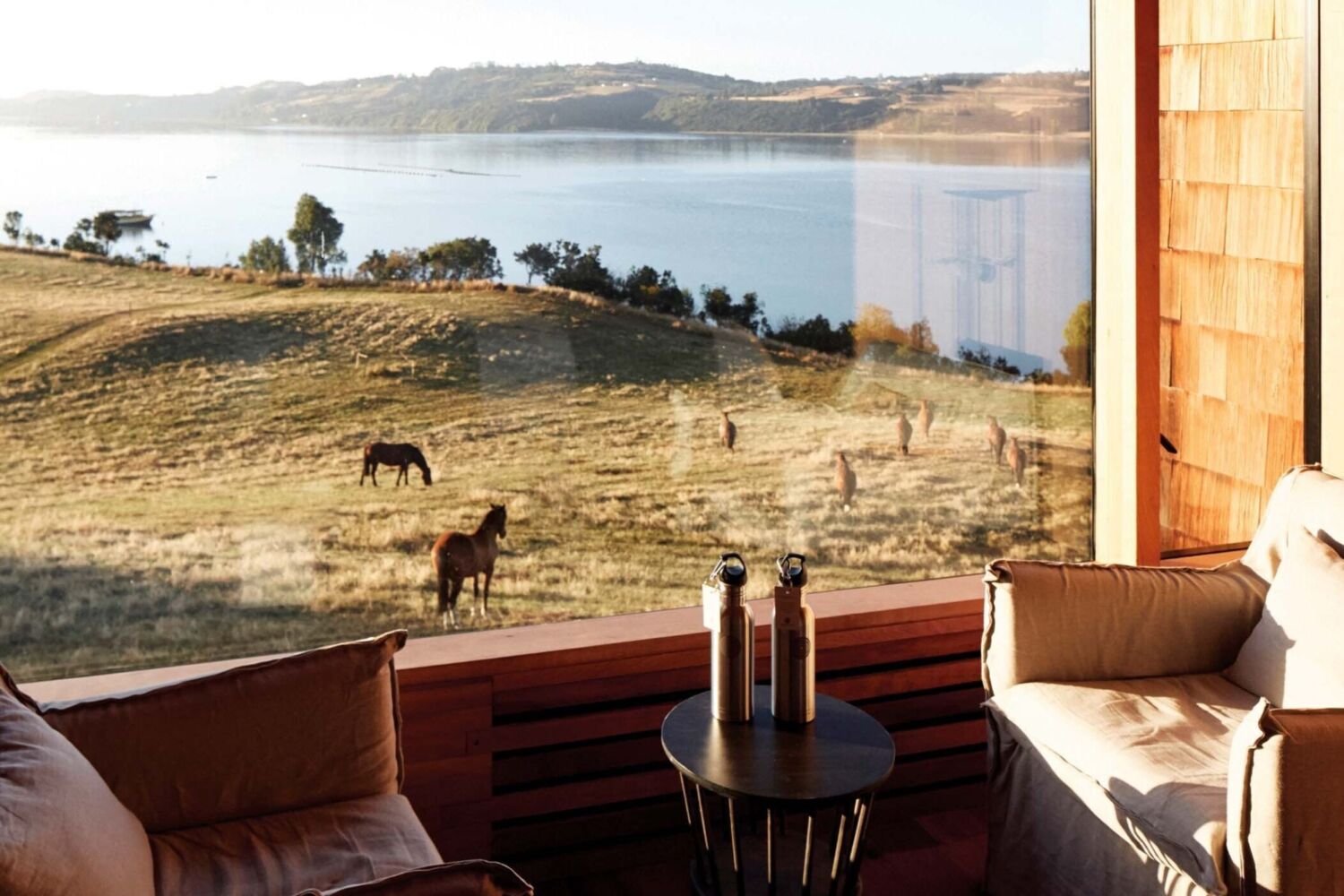 Suite view horse Tierra Chiloe