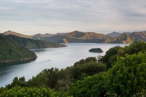NZ Journey, Marlborough Sounds private wine cruise, cr Cloudy Bay Wines