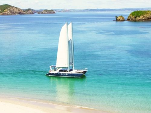Bay of Islands luxury cruise cool change bay