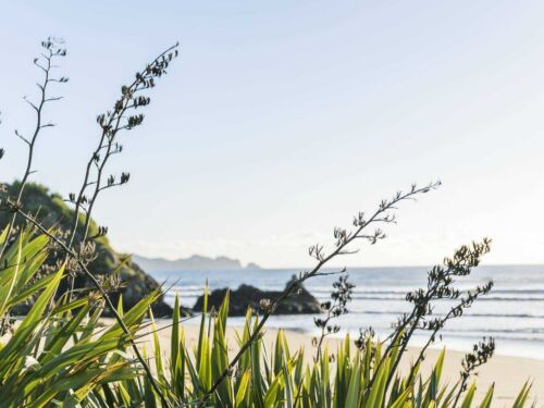 Bay of Islands kayak and beach picnic cr Lodge at Kauri Cliffs