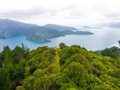 Queen Charlotte Track view QCT 143 of 227 Marlborough NZ