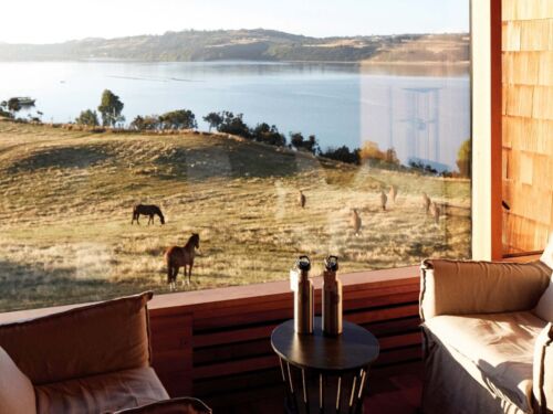 Suite view horse Tierra Chiloe