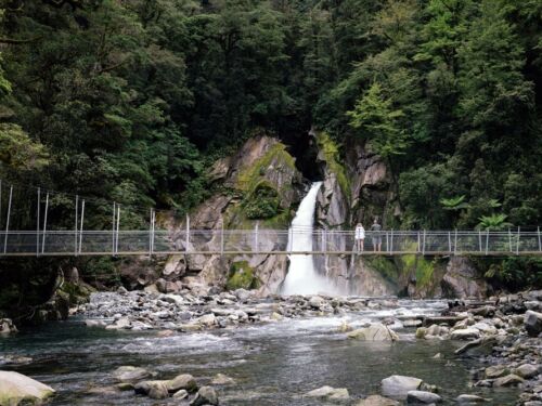 Walk into Luxury Milford Track 11