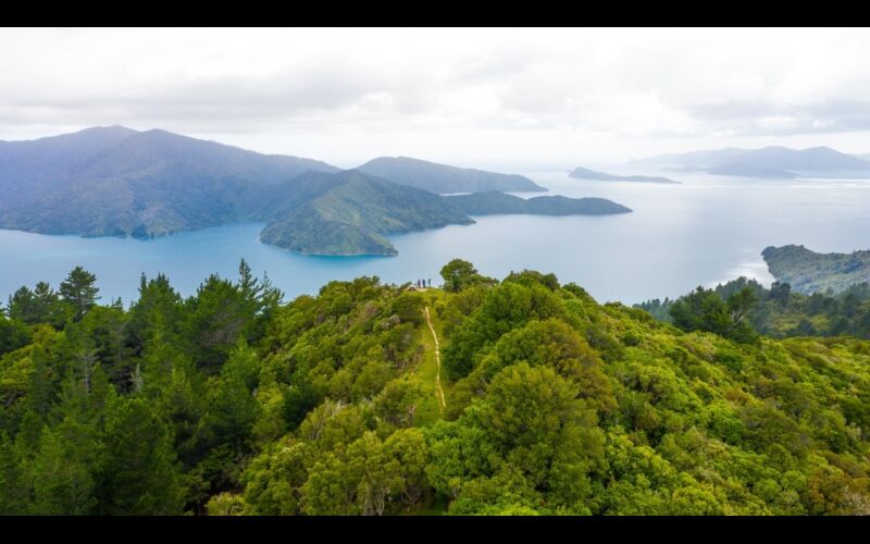 Queen Charlotte Track view QCT 143 of 227 Marlborough NZ